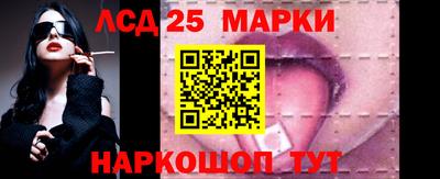 шишки Новокубанск