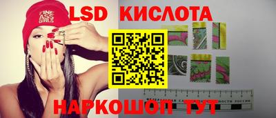 шишки Новокубанск