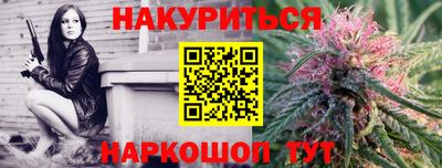 шишки Новокубанск