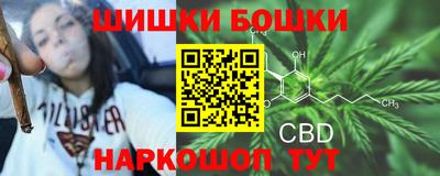 2c-b Новозыбков