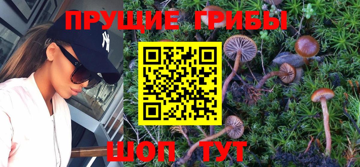 Галлюциногенные грибы MAGIC MUSHROOMS Сорочинск